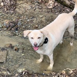 Meet your Posher, Rhonda